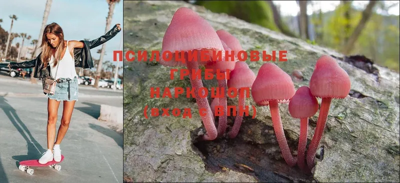 Псилоцибиновые грибы Magic Shrooms  Старый Оскол 